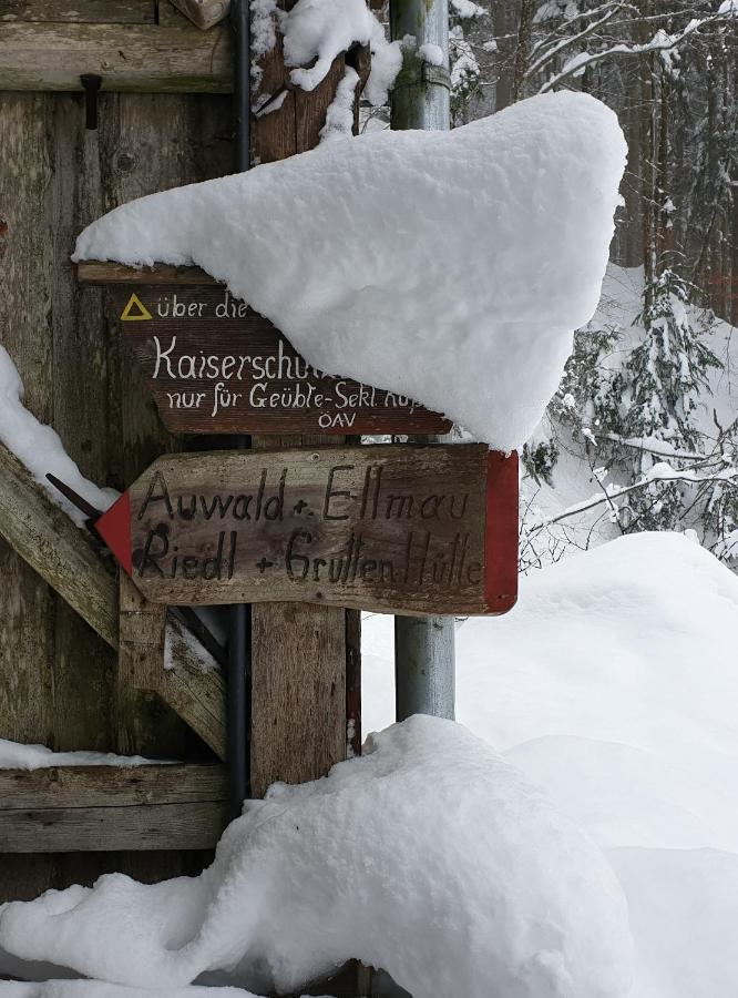 Casa Vierthaler Apartment Scheffau am Wilden Kaiser Bagian luar foto