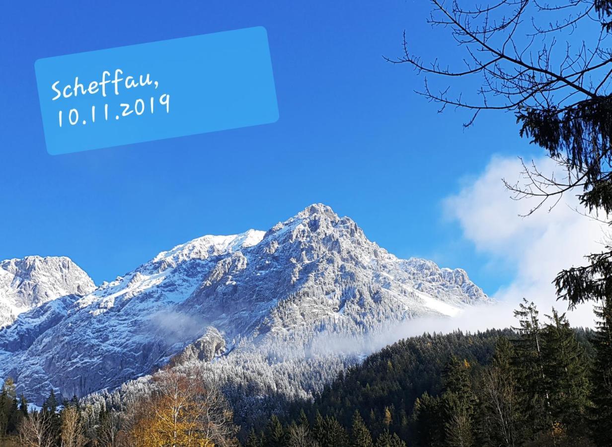 Casa Vierthaler Apartment Scheffau am Wilden Kaiser Bagian luar foto